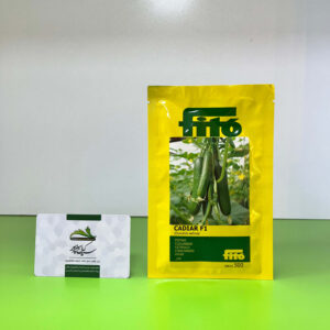 بذر خیار گلخانه ای کادیار فیتو