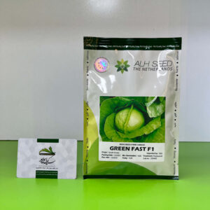 بذر کلم پیچ گرین فست ALH SEED