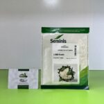 بذر گل کلم اویندولی سمینیس