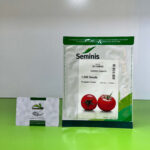 بذر گوجه 4040 سمینیس