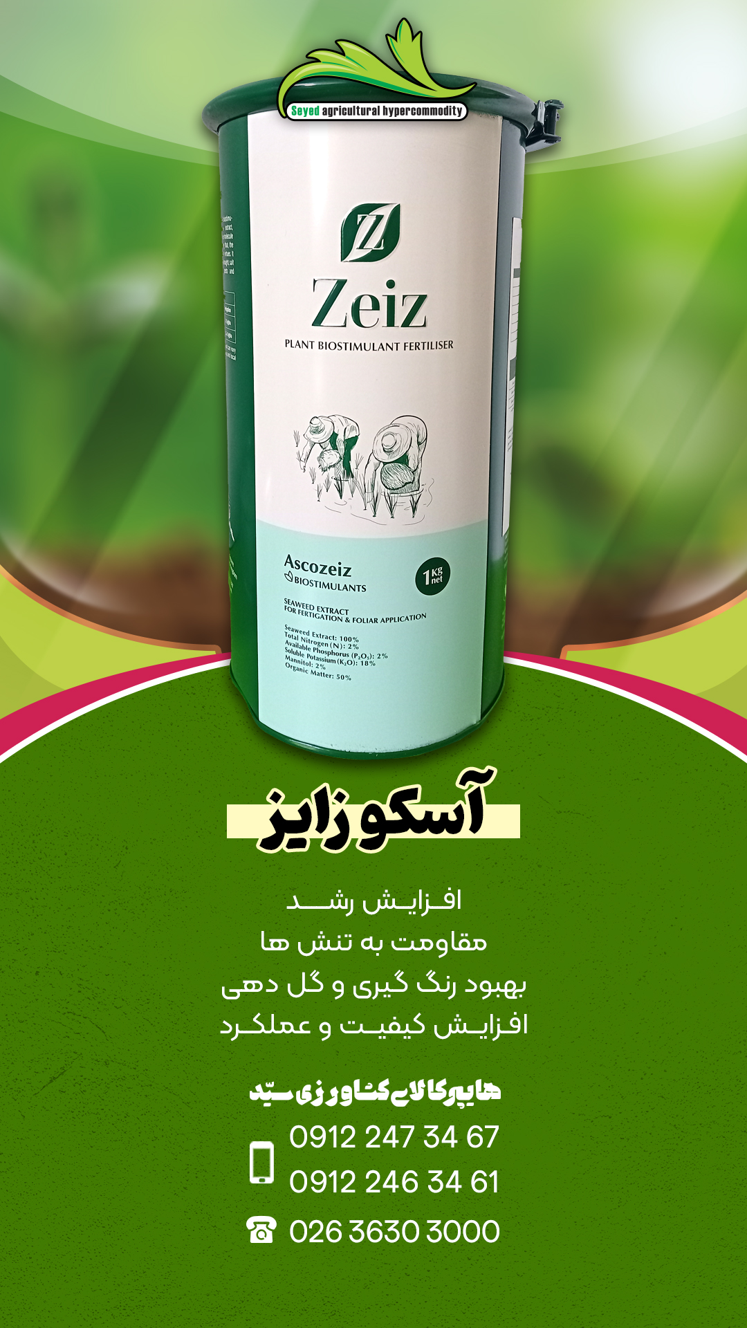 ascozeiz آسکوزایز