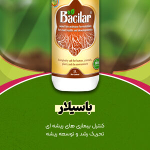 کود باسیلارBacilar